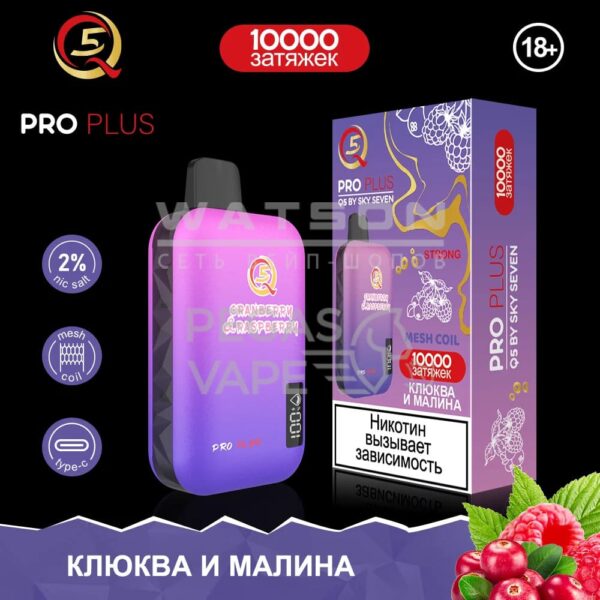 Электронная сигарета Q5 PRO Plus Strong (Клюква и малина) - Купить с доставкой в Красногорске