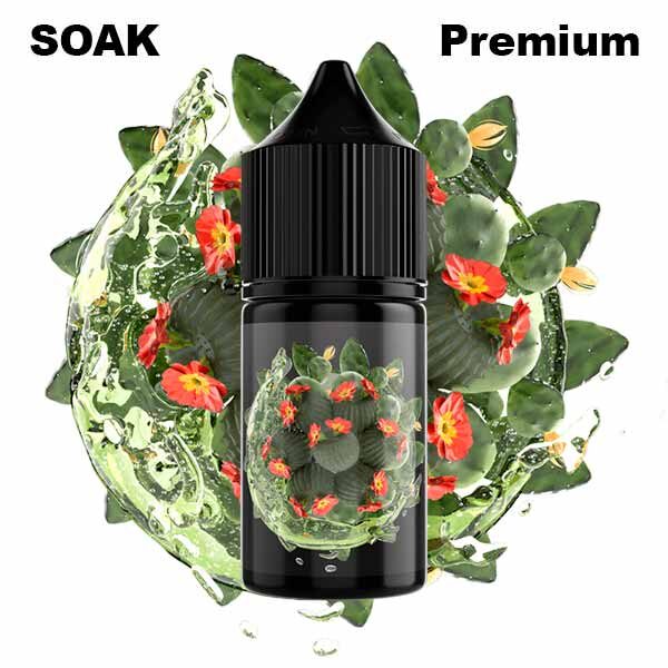Жидкость SOAK L (Лимонад с кактусом) 30 мл 2% (20 мг/мл) - Купить с доставкой в Красногорске